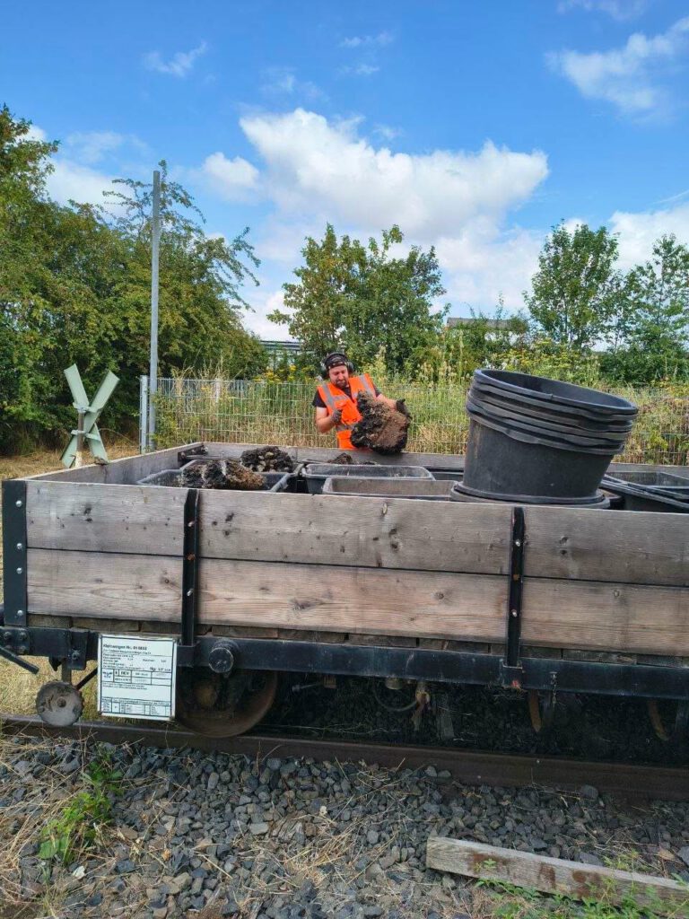 Die Asphaltbrocken werden verladen und abtransportiert